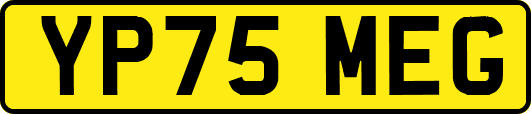 YP75MEG
