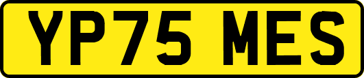 YP75MES