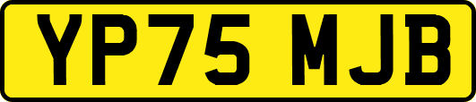 YP75MJB