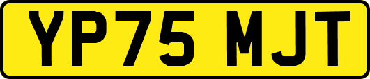 YP75MJT