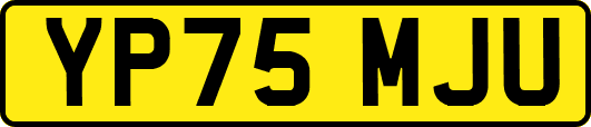 YP75MJU