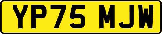 YP75MJW