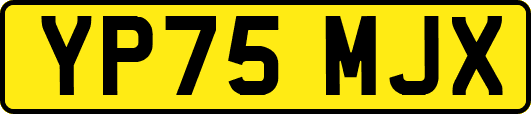 YP75MJX