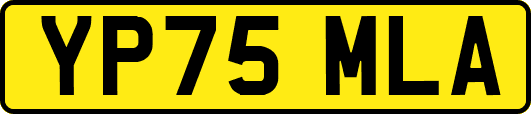 YP75MLA