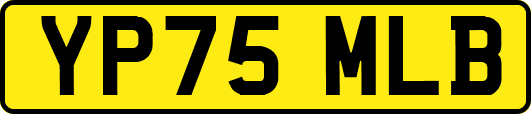 YP75MLB