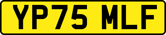 YP75MLF