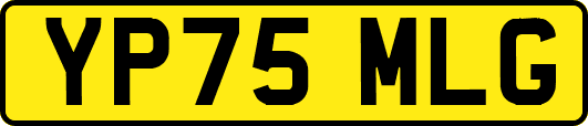YP75MLG