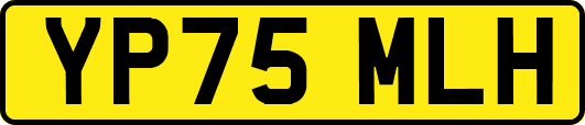 YP75MLH