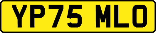 YP75MLO