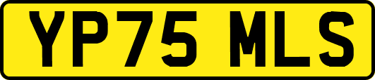 YP75MLS