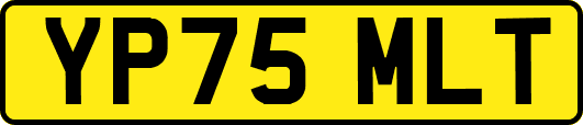 YP75MLT