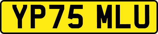 YP75MLU
