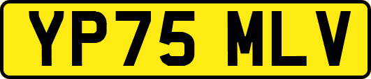 YP75MLV