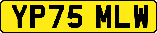YP75MLW