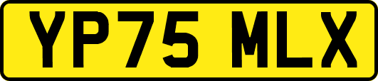 YP75MLX