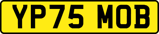 YP75MOB