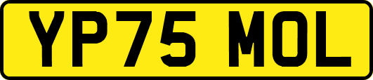 YP75MOL