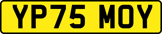 YP75MOY