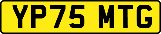 YP75MTG