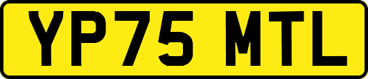 YP75MTL