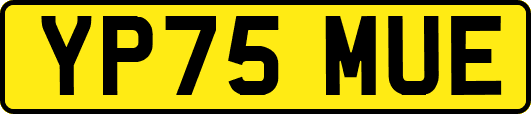 YP75MUE