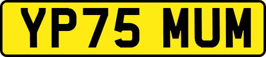 YP75MUM
