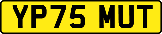 YP75MUT