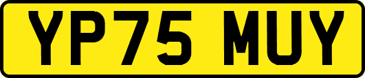 YP75MUY