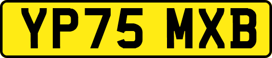 YP75MXB