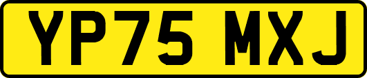 YP75MXJ