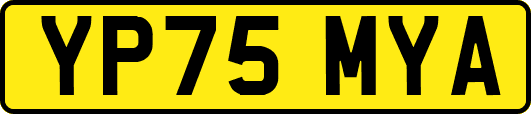 YP75MYA