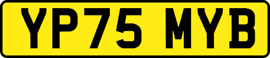 YP75MYB
