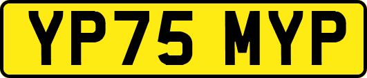YP75MYP