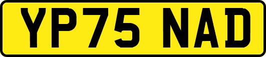 YP75NAD