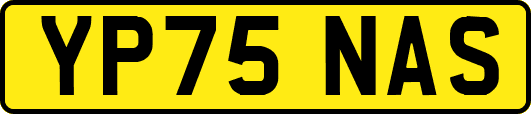 YP75NAS