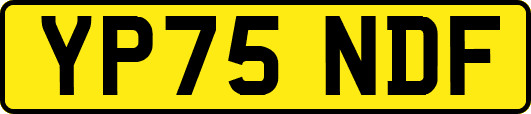 YP75NDF