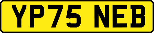 YP75NEB