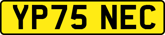 YP75NEC