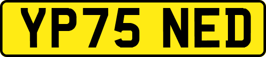 YP75NED