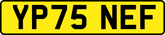 YP75NEF