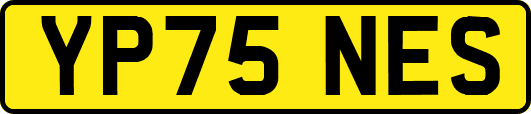 YP75NES