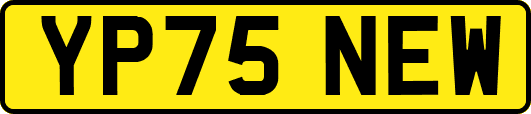 YP75NEW