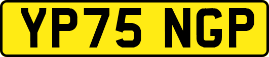 YP75NGP