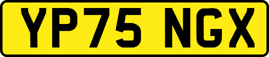 YP75NGX