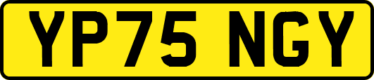 YP75NGY