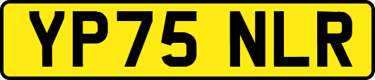 YP75NLR