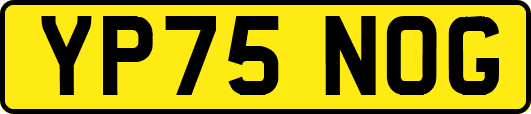 YP75NOG
