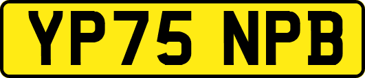 YP75NPB