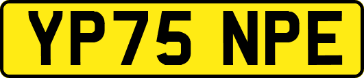 YP75NPE