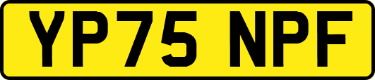 YP75NPF